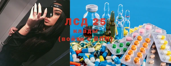 прущая мука Новодвинск