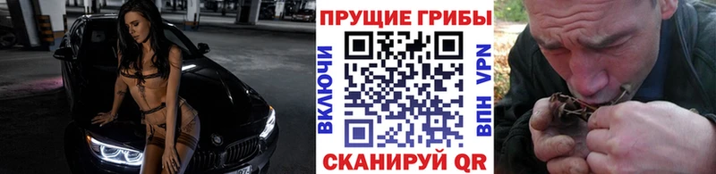 Псилоцибиновые грибы Cubensis  kraken   Карталы 